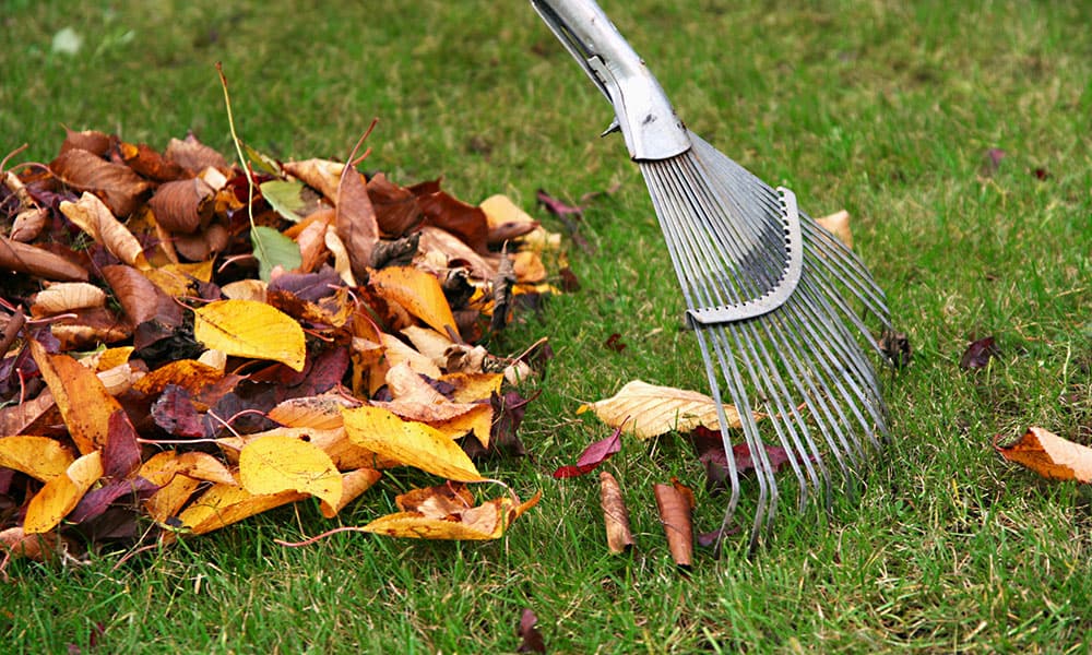 Dog Waste Clean Up Oswego IL ABC LawnWorks