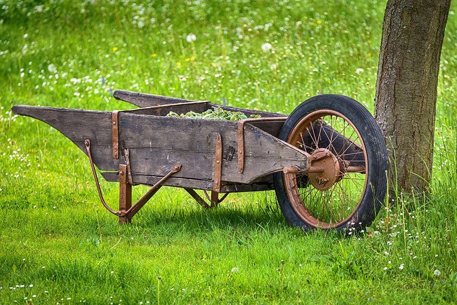 Brush Removal Oswego IL