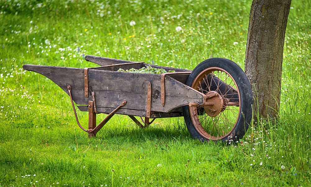 Brush Removal Brush Removal Oswego IL ABC LawnWorks
